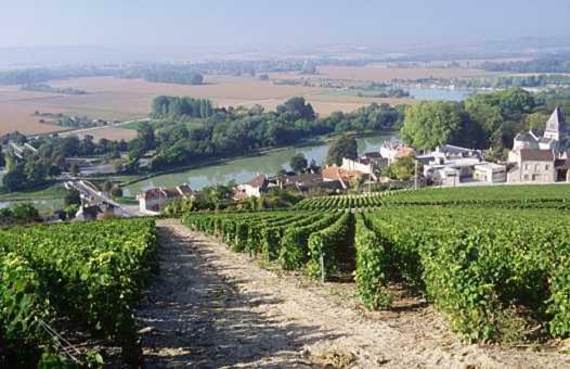 Le Clos Corbier Mareuil-sur-Ay Exterior foto